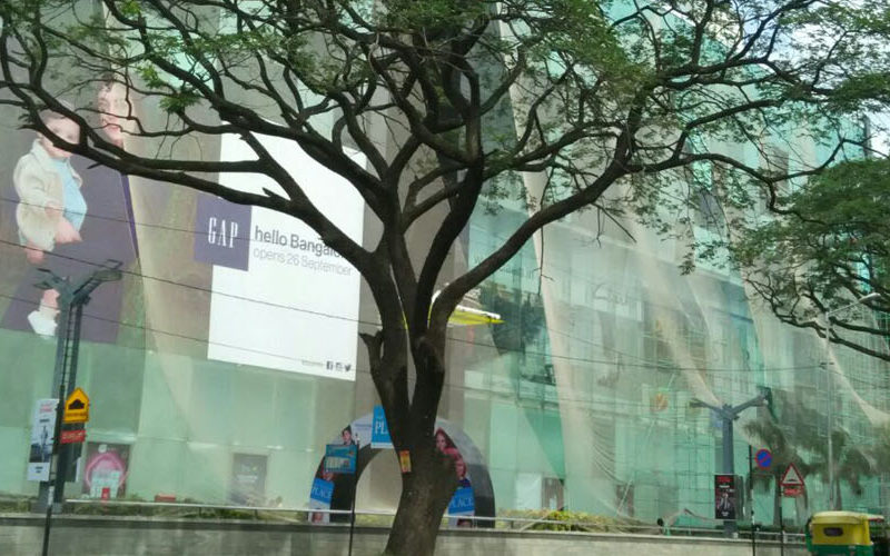 Glass Safety Nets in Bangalore
