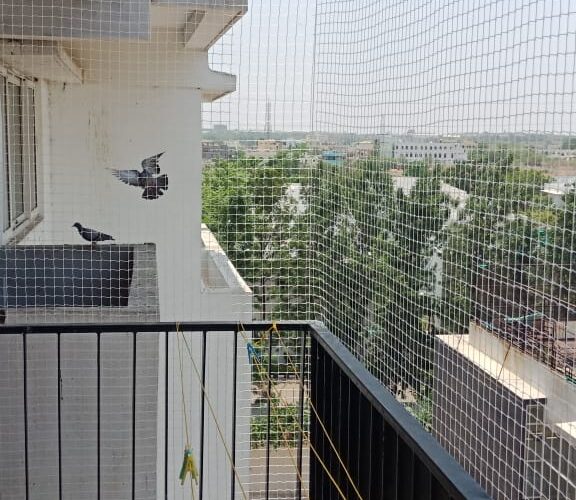 pigeon nets in bangalore