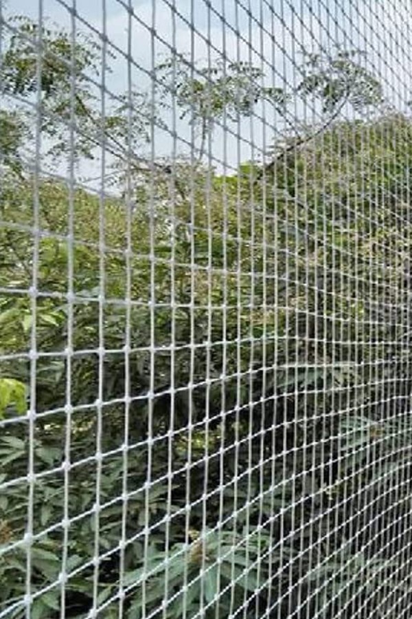 Balcony Pigeon Nets in Bangalore | Call Dev at 9606699990